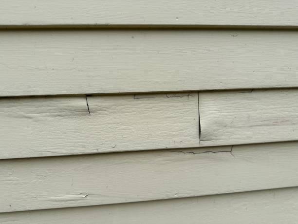 Best Foreclosure Cleanout  in Danville, AR